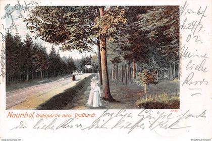 Naunhof Waldpartie nach Lindhardt bahnpgl1902 #187.279