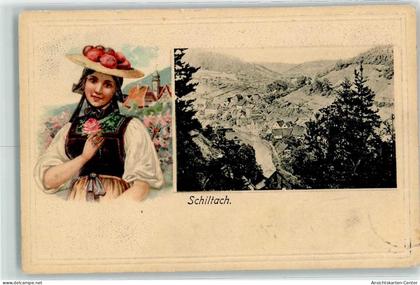 13441276 - Schiltach