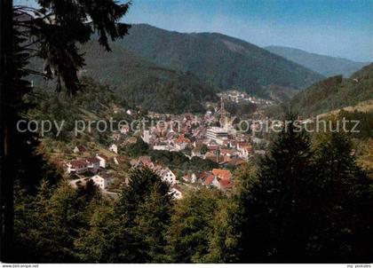 Schiltach Panorama