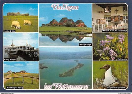 Halligen Mehrbildkarte ngl #175.326