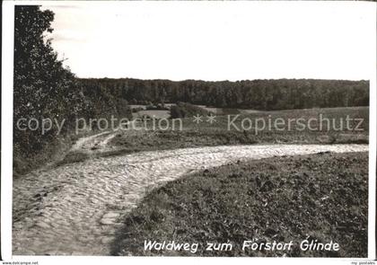 Schoenwalde Bungsberg Waldweg Forstort Glinde