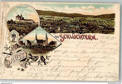 13563742 - Schluechtern