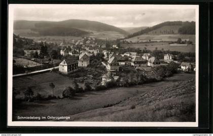 AK Schmiedeberg / Erzgeb., Panoramablick von der Bergwiese