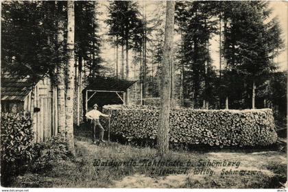 CPA Schomberg - Waldpartie b. Schomberg GERMANY (910399)