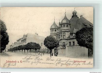 13288050 - Schoenebeck Elbe