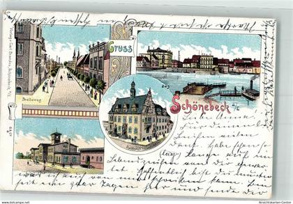 13523263 - Schoenebeck Elbe