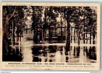 13523575 - Schoenebeck Elbe