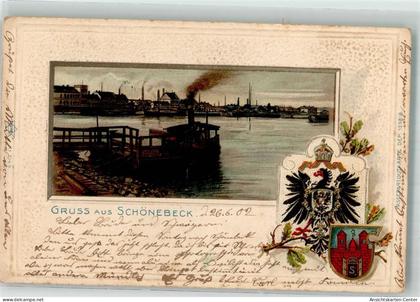 13526475 - Schoenebeck Elbe