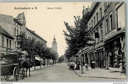 13565703 - Schoenebeck Elbe