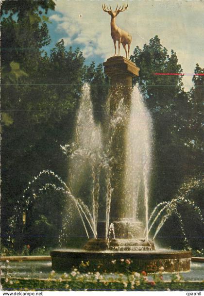CPA Hirsch im Stadtpark