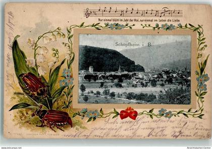 13525357 - Schopfheim