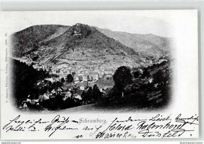 52061029 - Schramberg