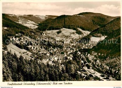 Schramberg BW Blick vom Tierstein