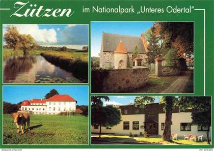 Zuetzen Angermuende Panorama Nationalpark Unteres Odertal Viehweide Gaststaette