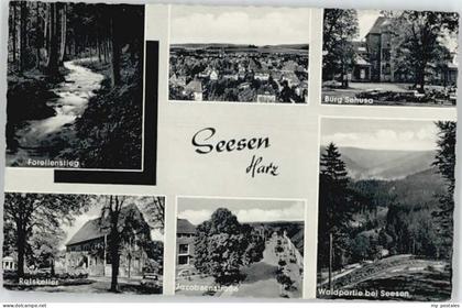 Seesen Harz Seesen Burg Sehusa Forellenstieg Jacobsenstrasse