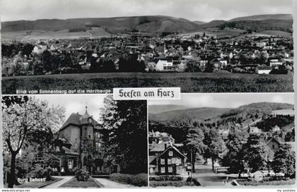Seesen Harz Seesen Burg Sehusa Lautentaler Strasse
