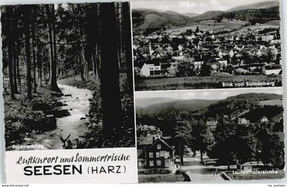 Seesen Harz Seesen Forellenstieg Sonnenberg