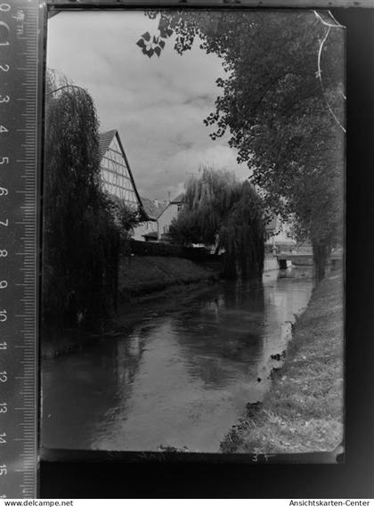 30033189 - Sinsheim , Elsenz