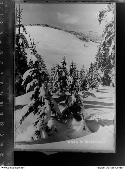 30081403 - St Blasien