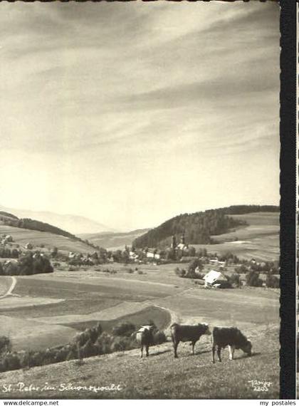 St Peter Schwarzwald St Peter Schwarzwald