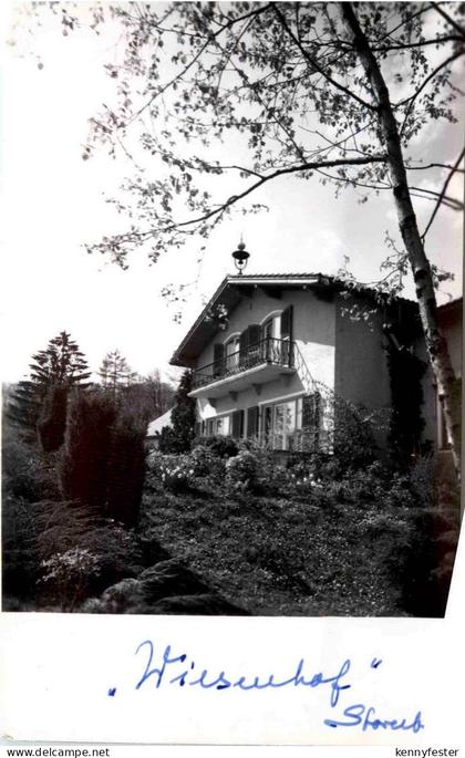Starnberg - Wiesenhof