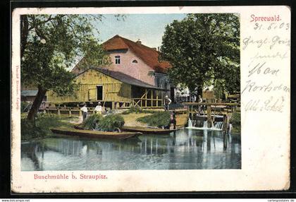 AK Straupitz /Spreemühle, Gasthaus zur Buschmühle
