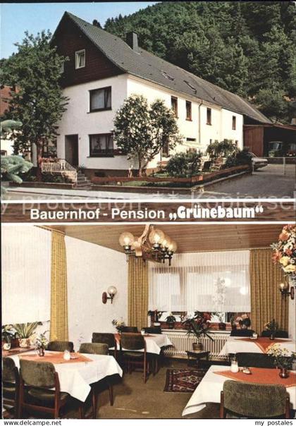 Sundern Sauerland Bauernhof Pension Gruenebaum
