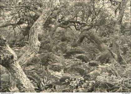 SYLT Insel Schleswig-Holstein Sylt