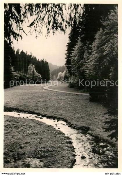 Tambach-Dietharz Apfelstaedtgrund