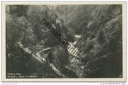 Thale - Bodetal - Blick von der Schurre - Foto-AK 30er Jahre - Verlag Hermann Leiste Thale