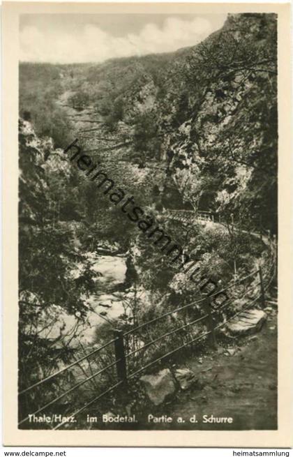 Thale - Partie an der Schurre - Foto-AK 50er Jahre - Verlag Hermann Leiste Thale