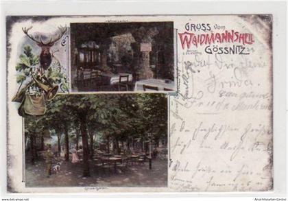 39021255 - Goessnitz mit Wintergarten u. Conzertgarten vom Waidmannsheil gelaufen von 1906. Oxydationsspuren an den Rae