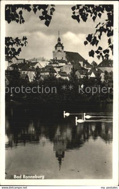 Ronneburg Thueringen Schwanenteich