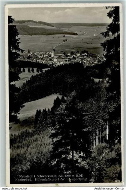 10422875 - Neustadt Titisee-Neustadt