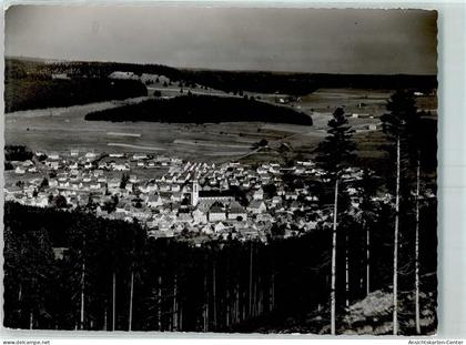 10463629 - Neustadt Titisee-Neustadt