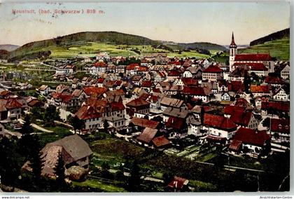 52032280 - Neustadt Titisee-Neustadt