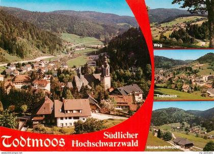 Todtmoos Schwarzwald BW Weg Todtmoos Hintertodtmoos