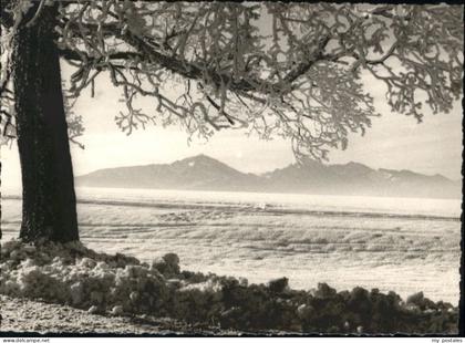 Traunstein Oberbayern Traunstein [Stempelabschlag]