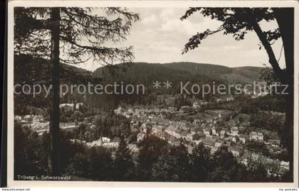 Triberg Panorama