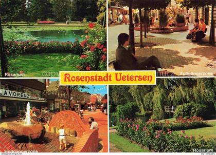 Uetersen Pinneberg Schleswig-Holstein Rosarium Fussgaengerzone Brunnen Trauerwei