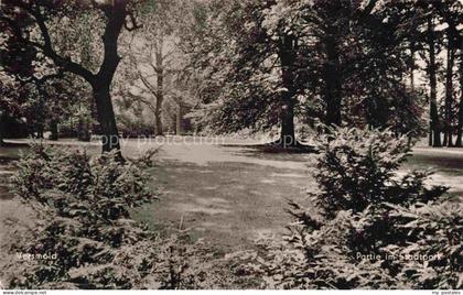 Versmold Guetersloh NRW Stadtpark Baeume Rasen Weg Nadelbaeume Laubbaeume