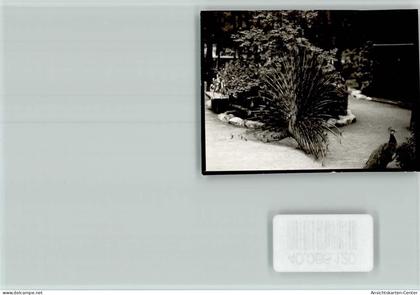 40066120 - Viernheim