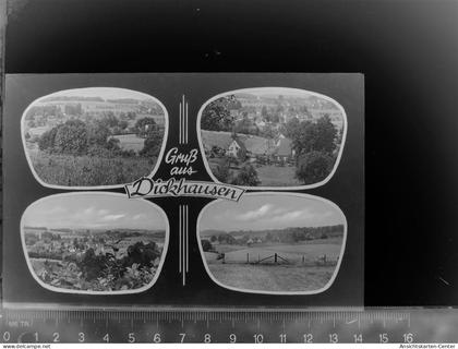 30060441 - Waldbroel