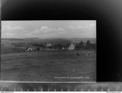 30060445 - Waldbroel