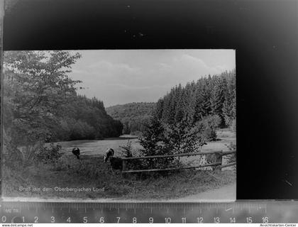 30060450 - Waldbroel