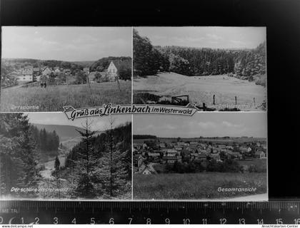 30065886 - Waldbroel