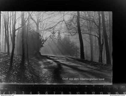 30065889 - Waldbroel