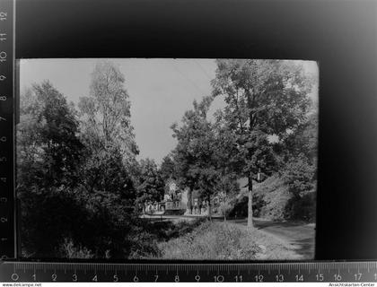 30088503 - Waldbroel