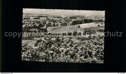 Waldbroel