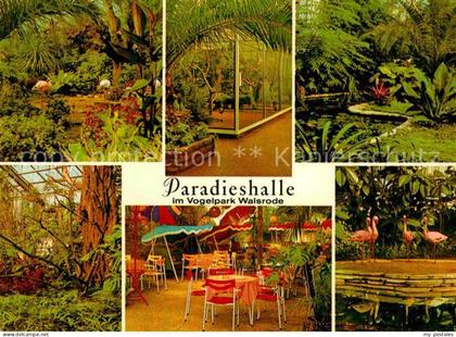 Walsrode Lueneburger Heide Paradieshalle im Vogelpark Walsrode